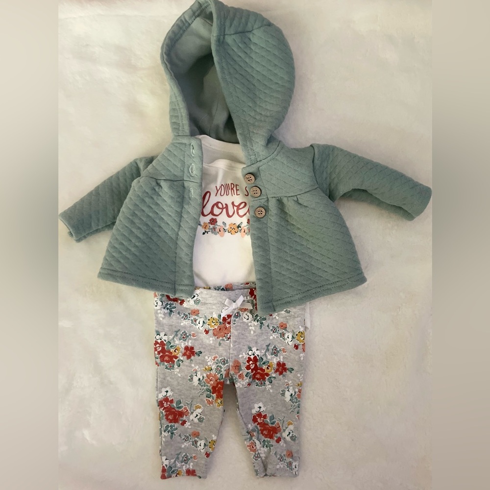Baby girl outfit. Includes jacket, onsie, and pants
